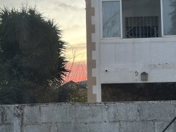 172-06-01-2026 IMG_3372